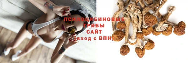хмурый Алексеевка
