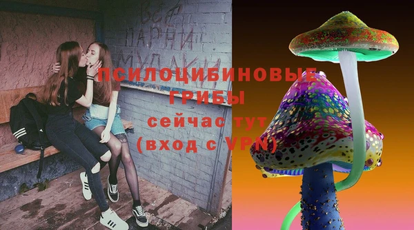 гашик Алексин