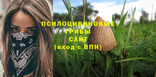 хмурый Алексеевка