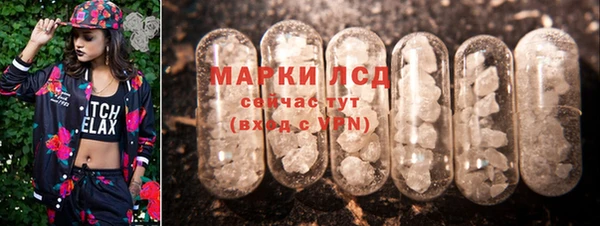 гашик Алексин