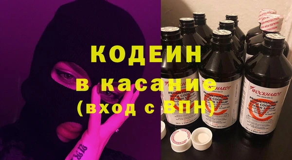 гашик Алексин